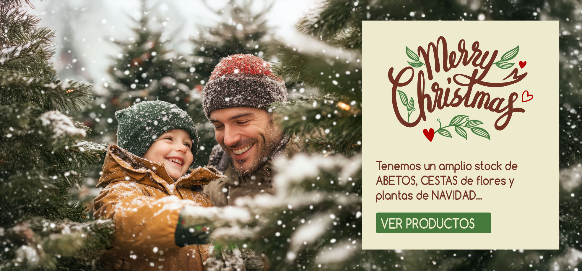 Viveros Shangai, Vivero de Flores y Plantas en Madrid especial Navidad 2026 Viveros Shangai, Vivero de Flores y Plantas en Madrid especial Navidad 2026