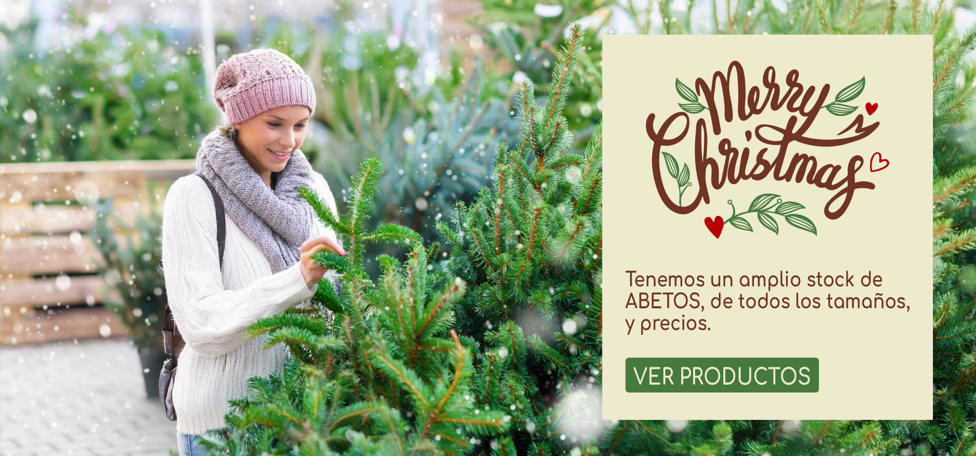 Viveros Shangai, Vivero de Flores y Plantas en Madrid especial Navidad 2025